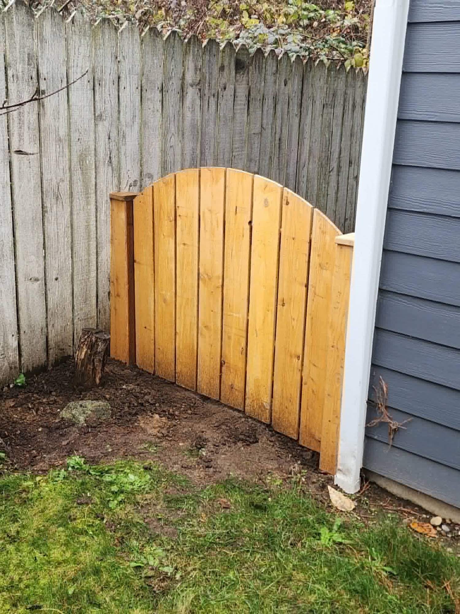 Cedar fence and gate by Condor in Lake Stickney